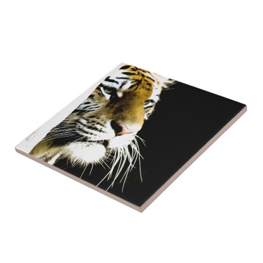 Carreau Tigre (Côté)