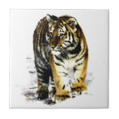 Carreau Tigre (Devant)