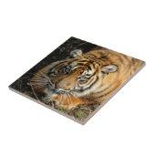 Carreau Tigre 037 (Côté)
