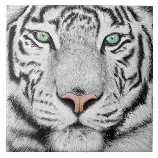 Carreau Tigre à neige (Devant)