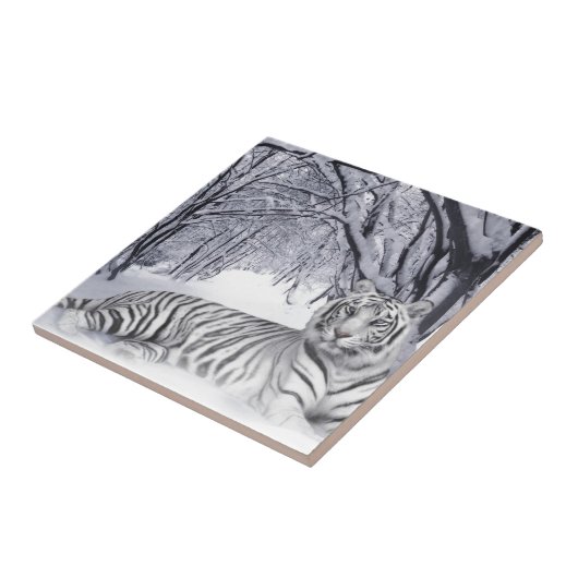 CARREAU TIGRE BLANC (Côté)