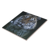 Carreau Tigre dans l'eau (Côté)