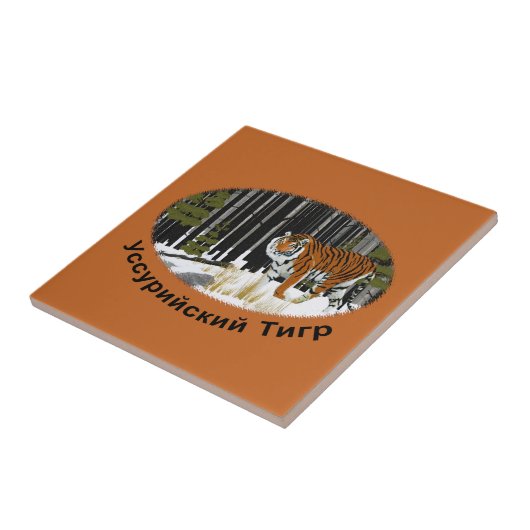 Carreau Tigre de Sibérie (Côté)