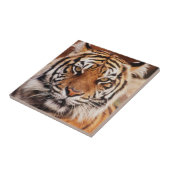 Carreau Tigre de Sumatra (Côté)