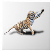 CARREAU TIGRE FÂCHÉ (Devant)