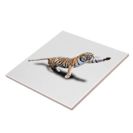 CARREAU TIGRE FÂCHÉ (Côté)