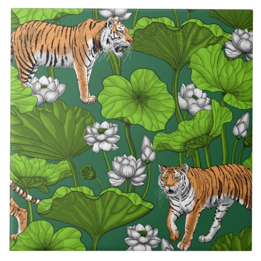 Carreau Tigres dans l'étang blanc de lotus (Devant)