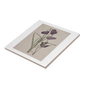 CARREAU TILE CÉRAMIQUE : CHARLES RENNIE MACKINTOSH : 1915 (Côté)