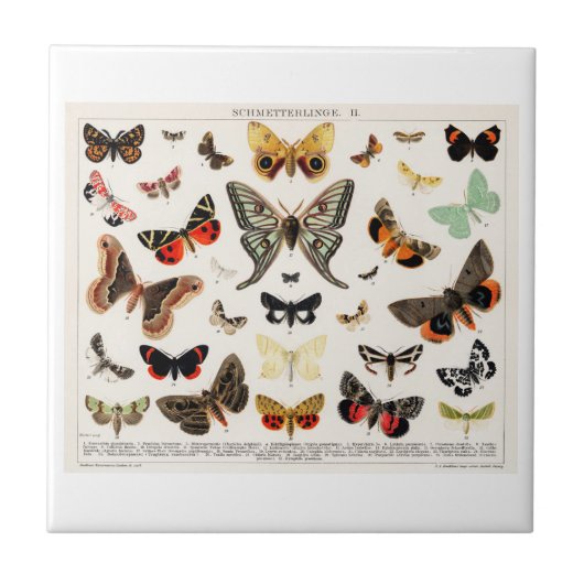 CARREAU TILE CÉRAMIQUE : LITHOGRAPHIE DE BOUTEILLE ANTIQUE (Devant)