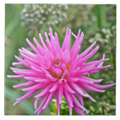 CARREAU TILE CÉRAMIQUE /PINK DAHLIA (Devant)