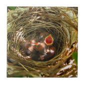 Carreau Tile d'art Sing Out (Devant)