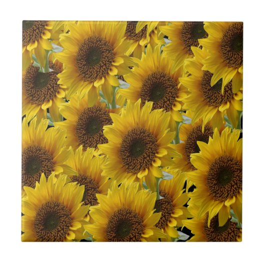 Carreau Tile de céramique tournesol (Devant)