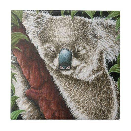 Carreau Tile de Koala endormie (Devant)