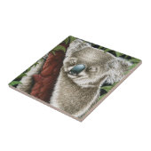 Carreau Tile de Koala endormie (Côté)