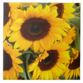 Carreau Tile de tournesol (Devant)