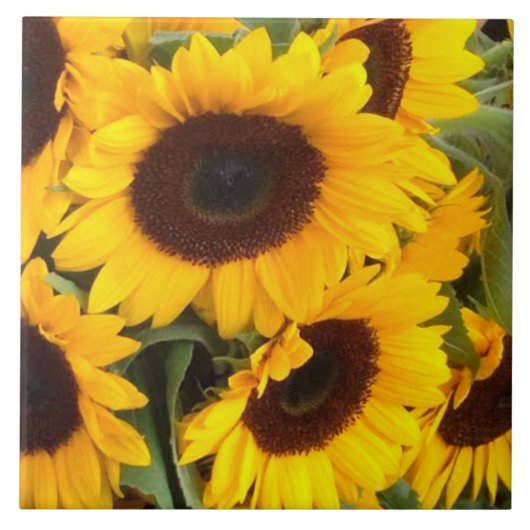 Carreau Tile de tournesol (Devant)