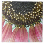 Carreau Tile de tournesol rose (Devant)