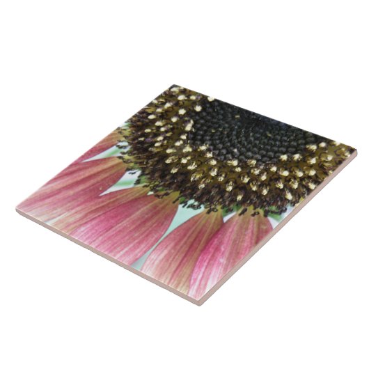 Carreau Tile de tournesol rose (Côté)