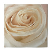 Carreau Tile photo Rose blanche (Devant)