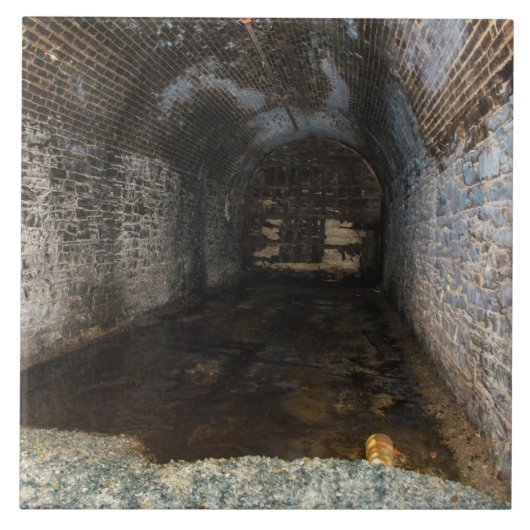 CARREAU TILE PHOTO SOUS-SOL LOWELL (Devant)