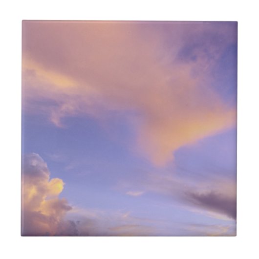 CARREAU TILE/TRIVET "PEINTED SKY" (Devant)