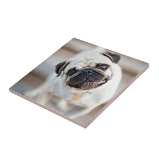 Carreau Tillette Carlin (Côté)