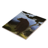 Carreau "Timberline" Western Art de W Herbert Dunton (Côté)