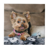 Carreau Tiny dynamo (Devant)