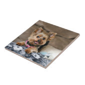 Carreau Tiny dynamo (Côté)