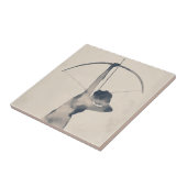 Carreau Tir aquarelle (Côté)