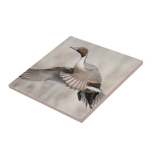 Carreau Tirage à l'ongle en vol (Côté)