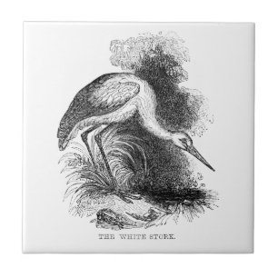 Carreau Tirage Vintage d'oiseaux de cigogne blanche