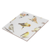 Carreau Tit birds motif (Côté)