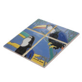 CARREAU TITRE CÉRAMIQUE DE L'ÎLE CATALINA (Côté)