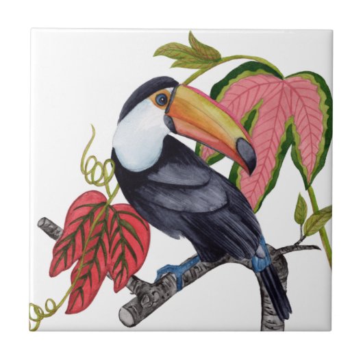 Carreau Toco Toucan (Devant)