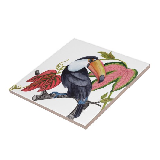 Carreau Toco Toucan (Côté)