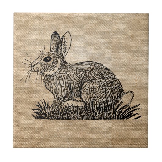 Carreau Toile de jute de lapin (Devant)