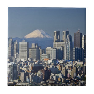 Carreau Tokyo, Skyline du quartier de Shinjuku, Mont Fuji