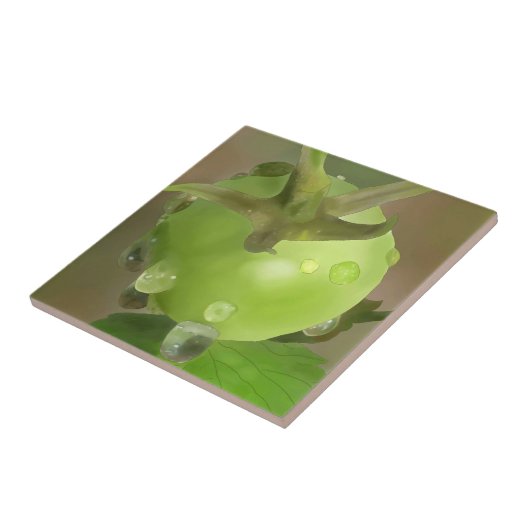 Carreau Tomates vertes (Côté)