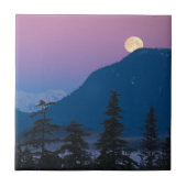 Carreau Tombe nocturne en Alaska (Devant)