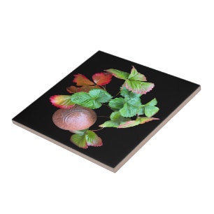 Carreau Tombez dans la saison des fraises Jardin de jardin