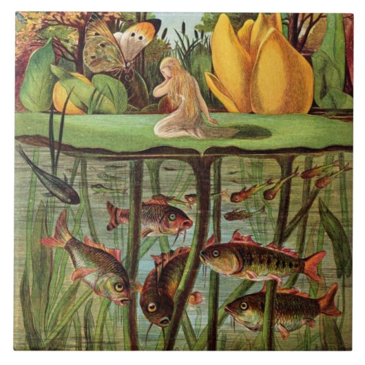 Carreau Tommelise très désolé sur la feuille de nénuphar, (Devant)