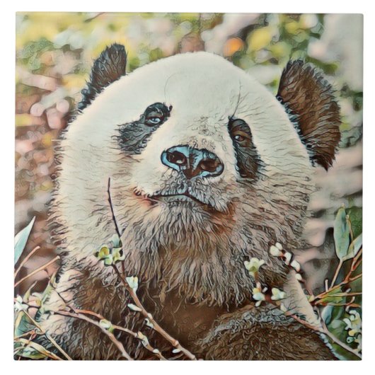 Carreau toony panda (Devant)