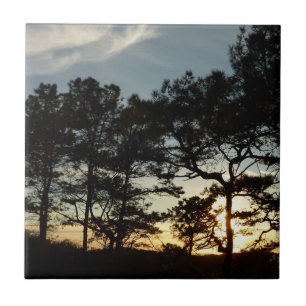 Carreau Torrey Pine Sunset II Californie Paysage