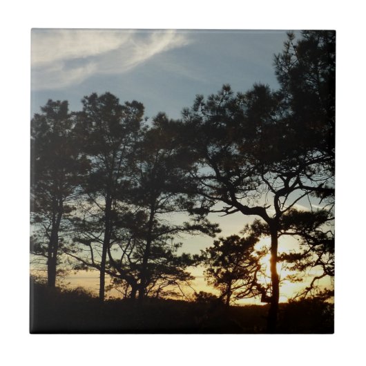 Carreau Torrey Pine Sunset II Californie Paysage (Devant)