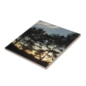 Carreau Torrey Pine Sunset II Californie Paysage (Côté)