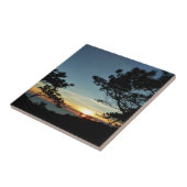 Carreau Torrey Pine Sunset III Paysage californien (Côté)