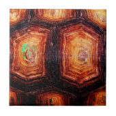 Carreau Tortois (Devant)