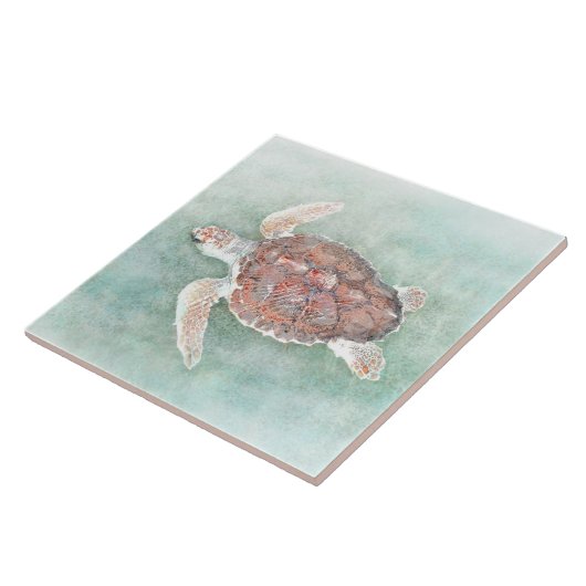 Carreau tortue 2 (Côté)