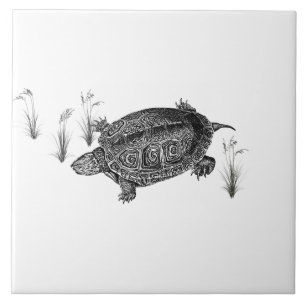 Carreau Tortue aquatique noire et blanche